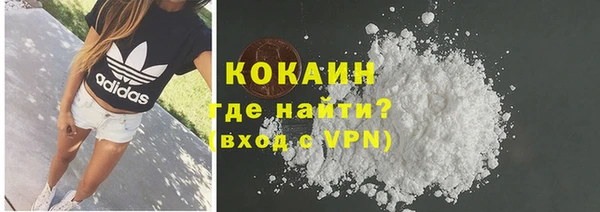 стафф Алзамай