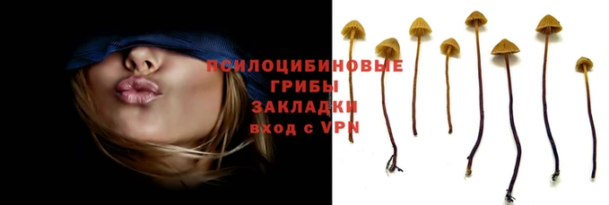 стафф Алзамай