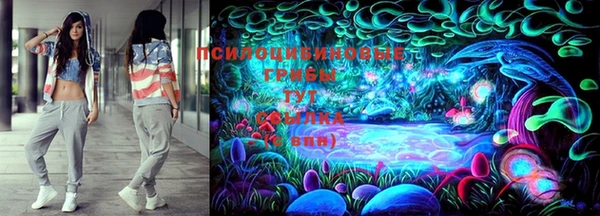 эйфоретик Алексин