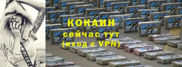 стафф Алзамай