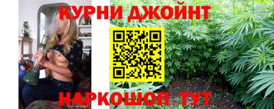 сатива Обнинск