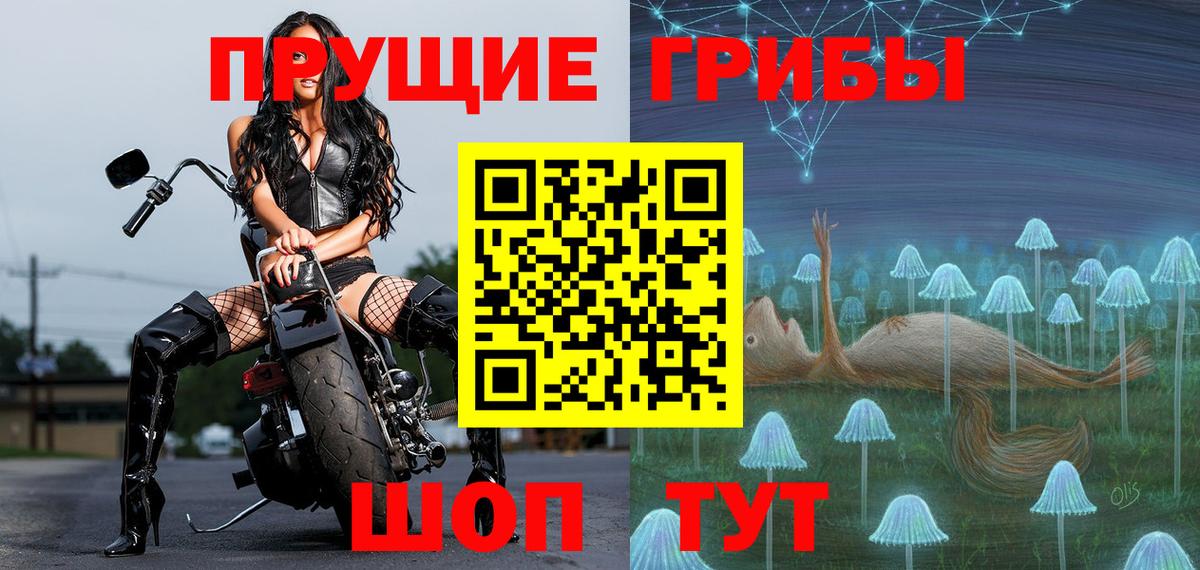 Пенза  Галлюциногенные грибы мицелий  Вход с VPN  Галлюциногенные грибы прущие грибы 